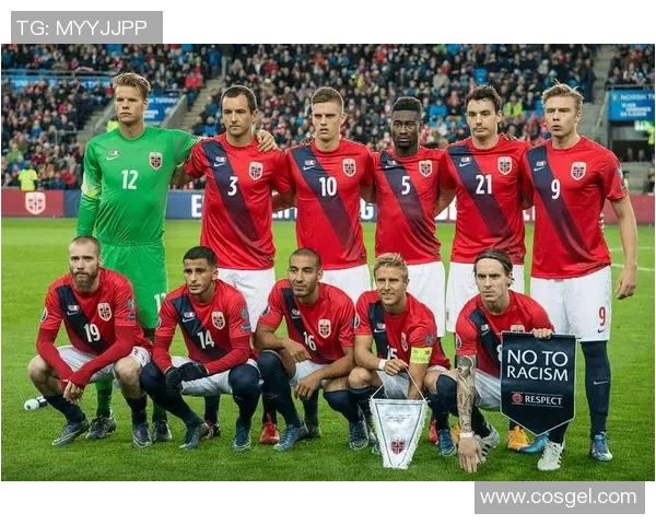 丹麦与爱尔兰足球赛前瞻分析及战术对比探讨